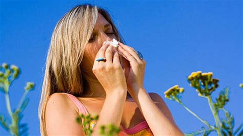 Seasonal Allergies Something To Sneeze At Health Cbc News