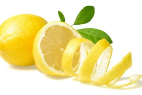 Manfaat Buah Lemon Yang Ternyata Berkhasiat Untuk Kesehatan Tubuh