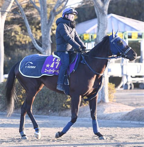 21年オークス馬ユーバーレーベンが左前浅屈腱炎で引退＆繁殖入り 手塚師「いいお母さんになってほしい」 ライブドアニュース