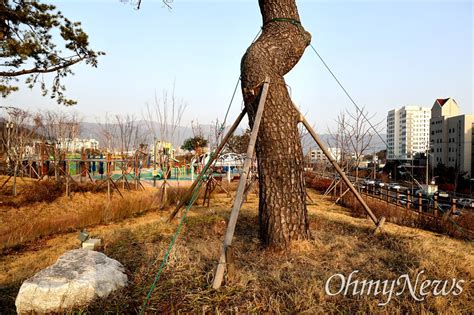 창원진해 옛 육군대학 터에 각종 교육연구시설 조성공사가 오마이포토