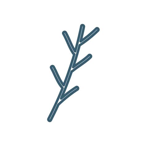 Ветка укропа Vector Art Stock Images | Depositphotos