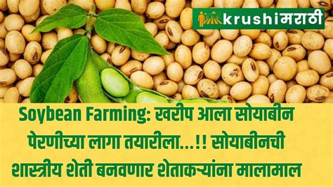 Soybean Farming Goods To The Farmers Who Will Make Classical Soybean Farming सोयाबीनची