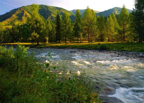 Darmowy obraz Góra rzeka drewno drzewo natura krajobraz woda