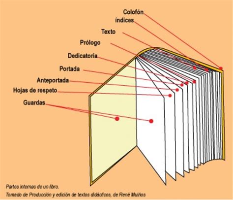 Tratar De Explicar Gr Ficamente Las Partes Del Libro Seg N El El Libro