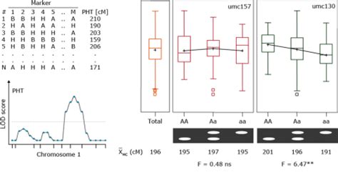 cluster analysis association  qtl mapping biology libretexts
