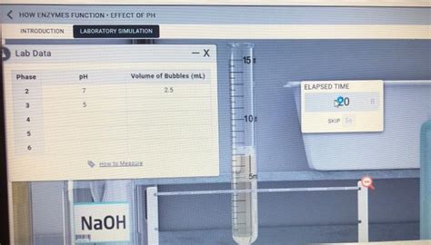 Solved How Enzymes Function Effect Of Ph Introduction Chegg