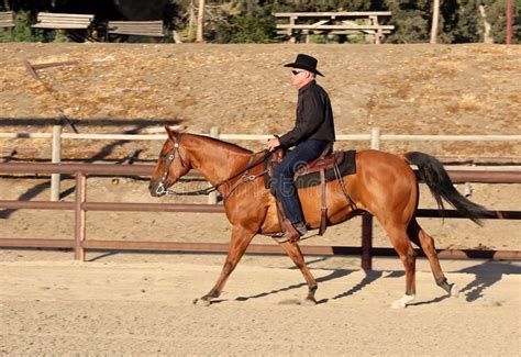 Ein Cowboy Der Sein Pferd In Einer Arena Reitet Stockfoto Bild Von