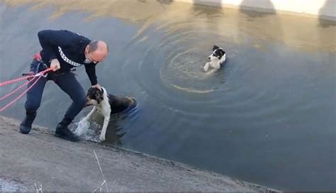 As Ha Salvado Un Agente De La Polic A Local De Morir Ahogados A Dos