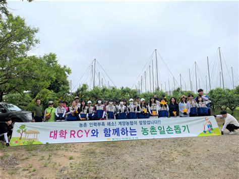 인천적십자 대학rcy와 함께하는 농촌봉사활동 「농촌에 살어리랏다」 실시