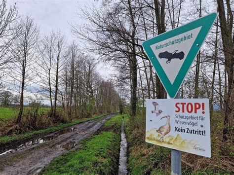 Vogelbrut Braucht Ruhe Wege Gesperrt Stadt Rietberg