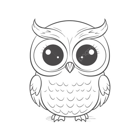 Cute Color Cartoon Owl Outline Sketch Drawing Vector, Owl Clipart, Cute ...