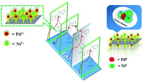 Terpyridine Based Pd Ii Ni Ii Organometallic Framework Nano Sheets