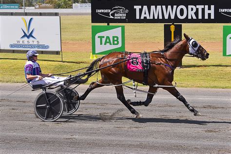 Harness Racing — John Tapp Racing