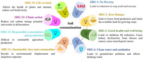 Effects Of Soil Contamination