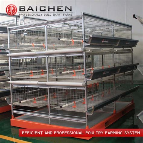 Multi Tiers Battery Cage Automatic H Type Battery Chicken Meat Broiler