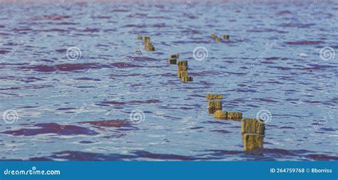 Lago De Sal Rosa Em Crimea Postes De Madeira Antigos Foto De Stock