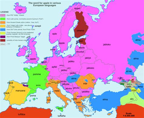 Карты слов