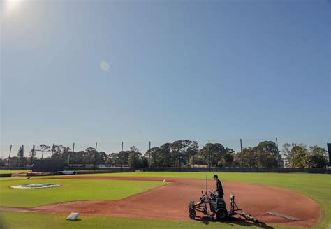 Orioles spring training 2023 | PHOTOS – Baltimore Sun