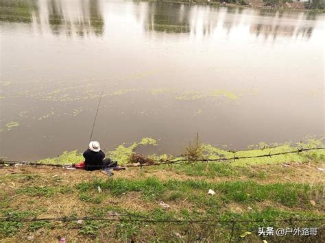 黃尾和翹嘴最佳釣法，學會後，你也能成為釣魚達人 每日頭條