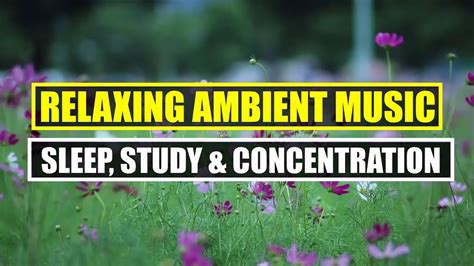 Relaxing Ambient Music For Study Focus And Concentration Sleep Music