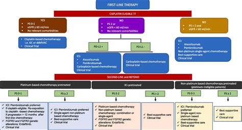 Management Of Metastatic Bladder Cancer Cancer Treatment Reviews