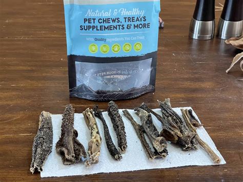 Rawhide Alternatives: The 13 Best Dog Treats To Chew On!