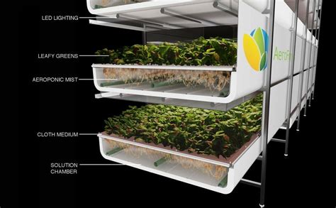 Say Hello To The Soon To Be World S Largest Indoor Vertical Farm Modern Farmer