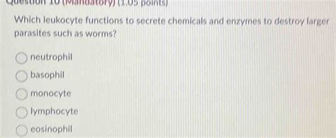 Solved Question 10 Mandatory 105 Points Which Leukocyte Functions