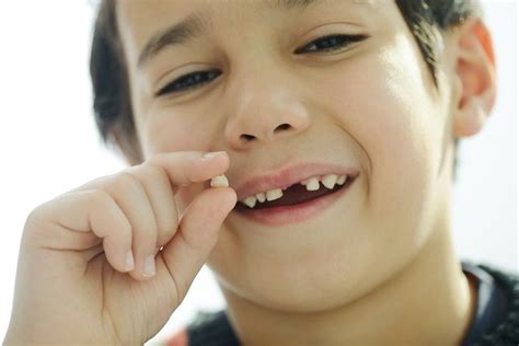 How To Pull A Loose Tooth Out Without Pain Information Alltheways