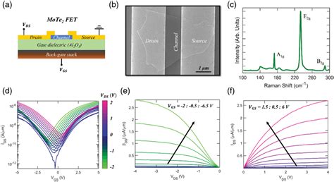 Ambipolar Transport In MoTe2 Fieldeffect Transistor FET A