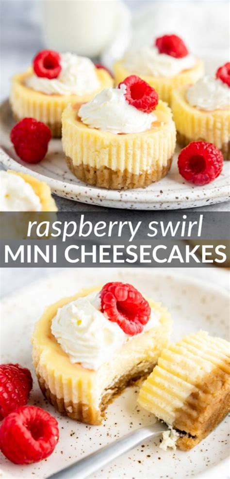 Raspberry Swirl Mini Cheesecakes Marshas Baking Addiction