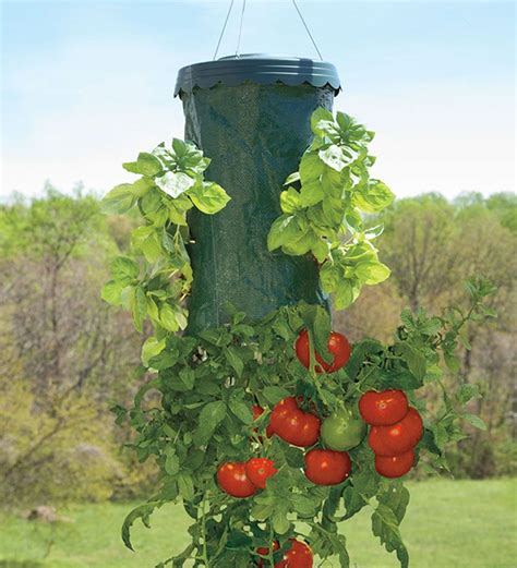 Upside Down Gardening Tomato Planter Upside Down Tomato Planter