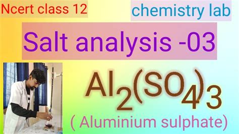 Ncert Class Chemistry Practical Salt Analysis Al So