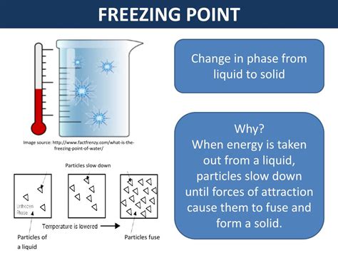 Ppt Activity 2 Freezing Point Of Liquids Powerpoint Presentation