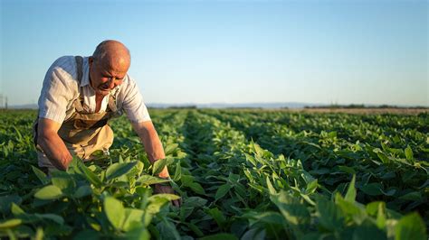 Medidas Urgentes De Apoyo Al Sector Agrario Ante La P Rdida De