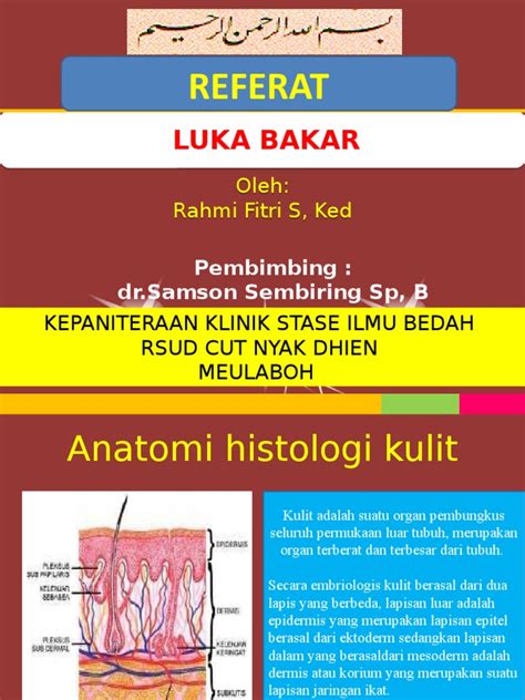 Powerpoint Luka Bakar Pdf