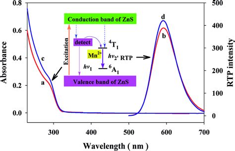 Uv Vis Spectra Curves A And C And Rtp Emission Spectra Curves B And Download Scientific