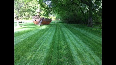 micro clover lawn - Google Search | Clover lawn, Lawn, Artificial trees