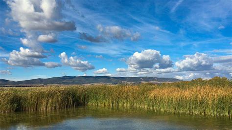 El Parque Nacional De Las Tablas De Daimiel Webos Fritos