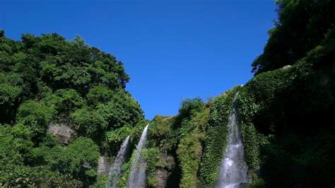 Free Images Tree Forest Waterfall Jungle Body Of Water