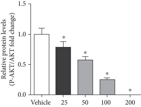 Andr Regulates Pi K Akt Enos Signalling In Vitro A The Expression Of