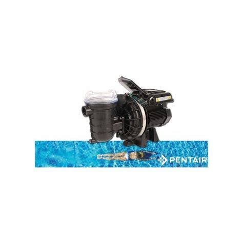 Pompe De Filtration Piscine Vitesse Variable Pentair Sta Rite S P R