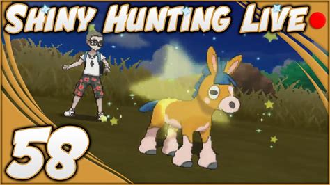 Shiny Pampuli Live Reaktion Shiny Hunting Live Pok Mon