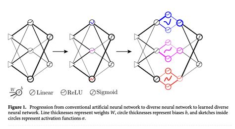 Unlocking the Power of Diversity in Neural Networks: How Adaptive ...