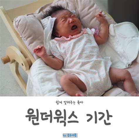 신생아 원더윅스 뜻 증상 기간 시기 원더윅스 계산기 네이버 블로그