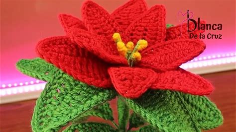 WowTEJI FLORES NAVIDEÑAS FÁCIL Y RAPIDONOCHEBUENAS crochet