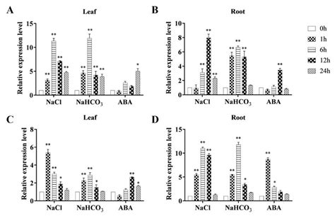 Relative Expression Of Msrci D A B And Msrci E C D In Leaves And