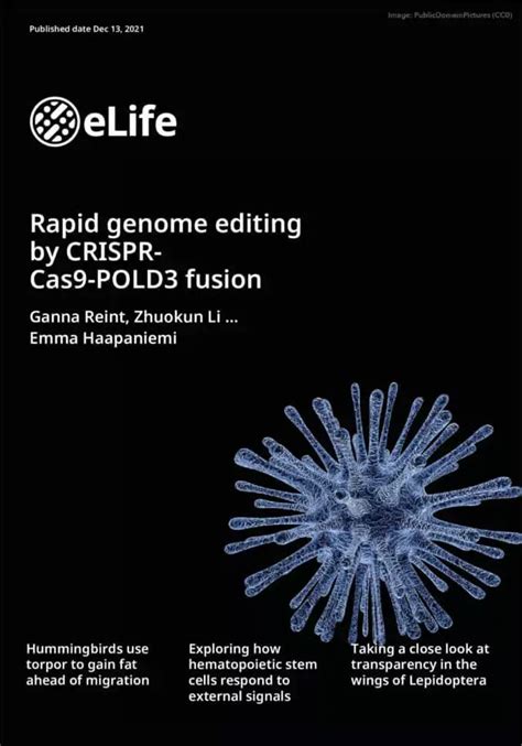 Rapid Genome Editing By CRISPR Cas9 POLD3 Fusion Haapaniemi Lab