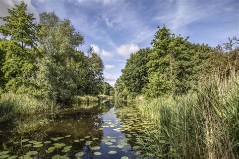 Natuur Op Zn Mooist Deze Weken