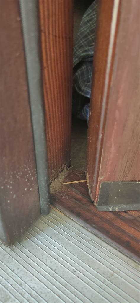 Sealing door corners from bugs and ants - RedFlagDeals.com Forums